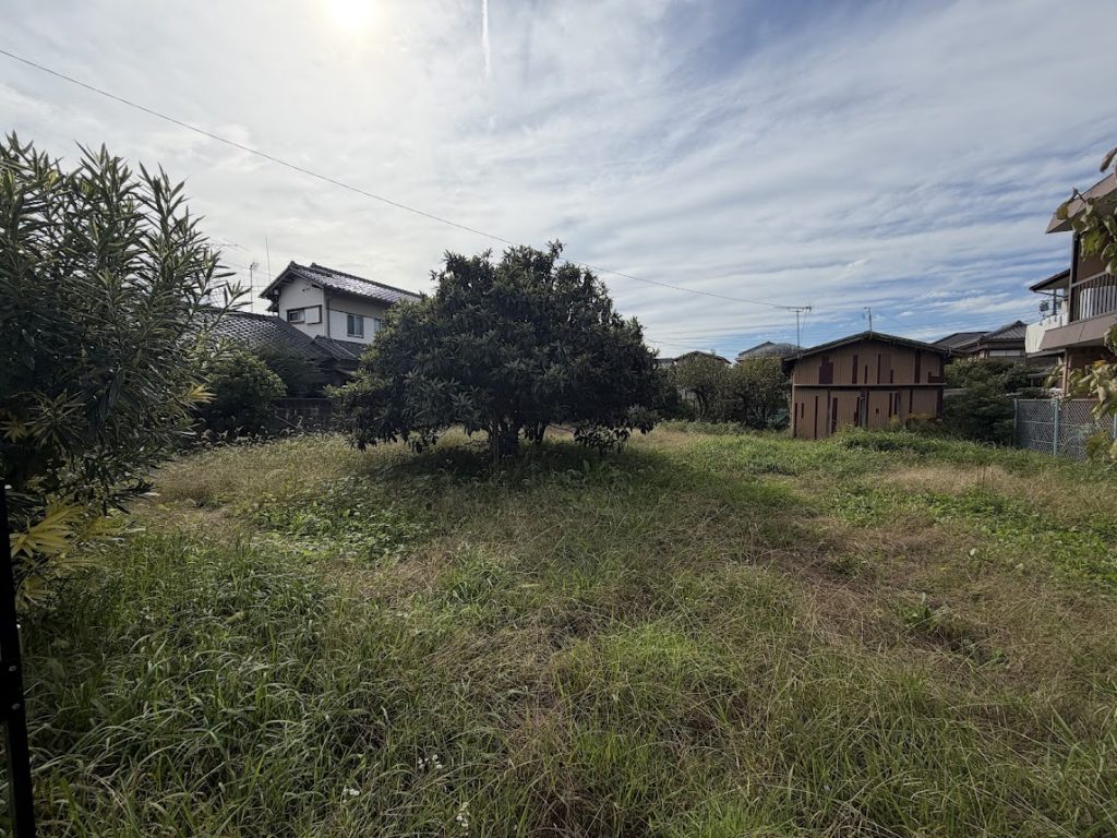 ギャラリー画像