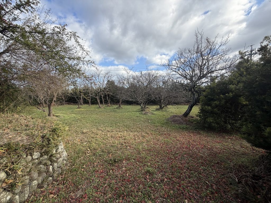 ギャラリー画像