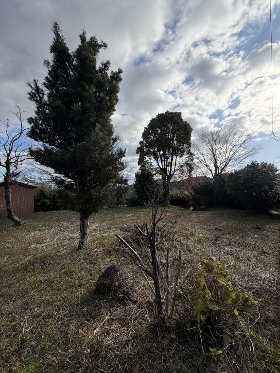 ギャラリー画像