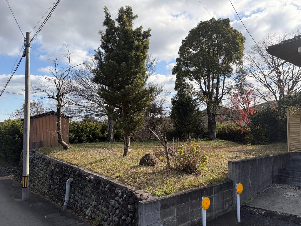 ギャラリー画像