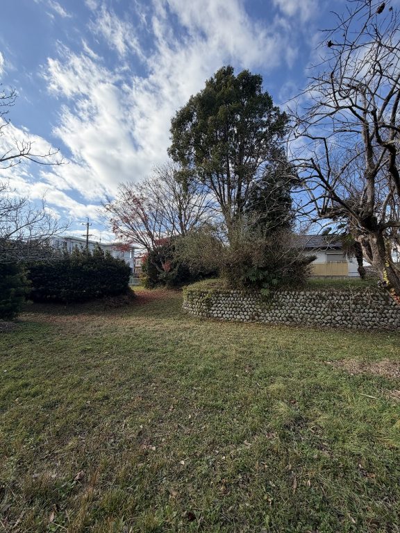 ギャラリー画像